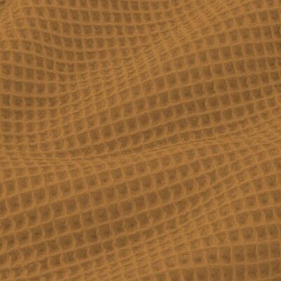 Favo di cammello