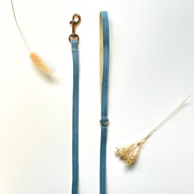 Correa para gatos y gatitos de algodón de mezclilla azul