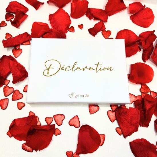 Anpassbares und magnetisches Deklarationspuzzle