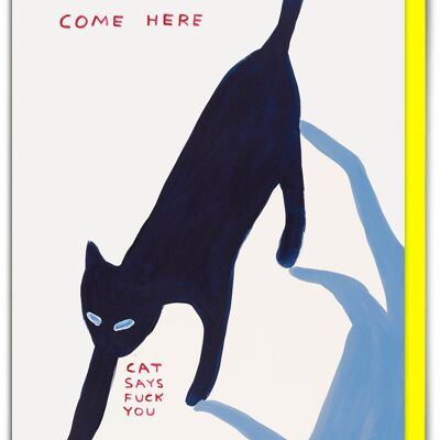 Carte d'anniversaire humoristique de David Shrigley : « Le chat dit : « Va te faire foutre » »