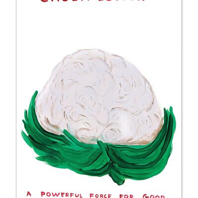 Divertente cartolina artistica A6 di David Shrigley - Cavolfiore