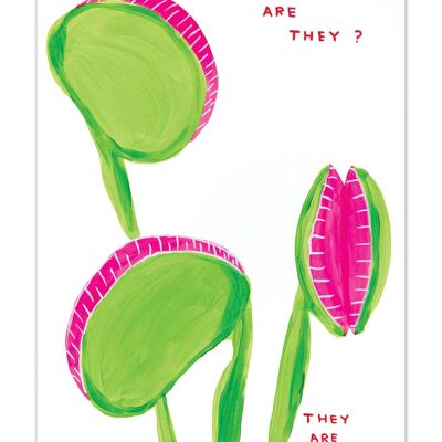 Divertente cartolina artistica A6 di David Shrigley - Cosa sono?