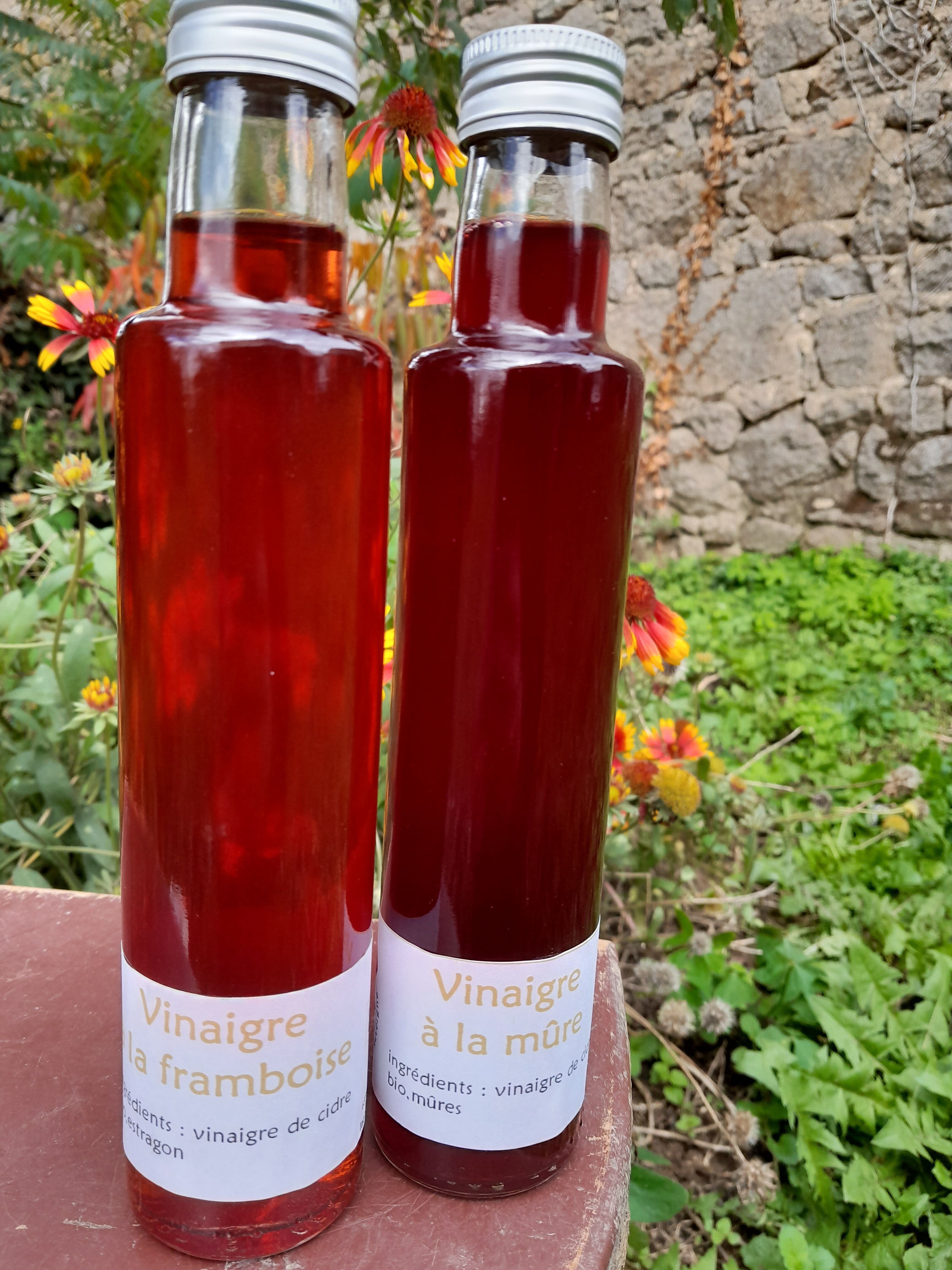 Organic Blackberry Vinegar – tangy and fruity, 25cl – cider vinegar, locally harvested, artisanally made