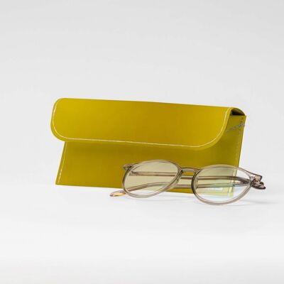 GOLD / METALLIC Tyvek® glasses case