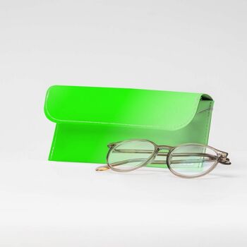 Étui à lunettes VERT / NEON Tyvek® 1