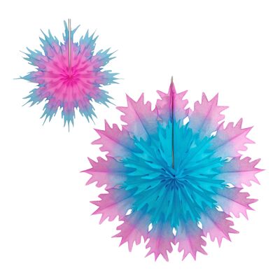 Dúo clásico de copos de nieve, aciano y rosa