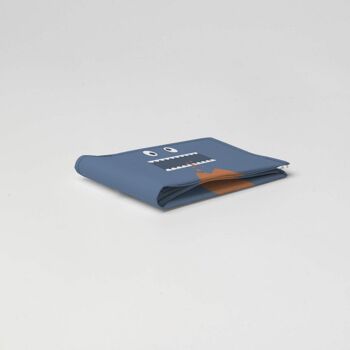 Portefeuille / porte-monnaie en carton COOKIE Tyvek® 3