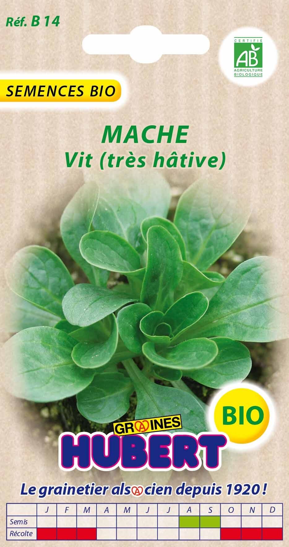 Graines de Mâche Vit BIO (Très hative) - 3 grammes