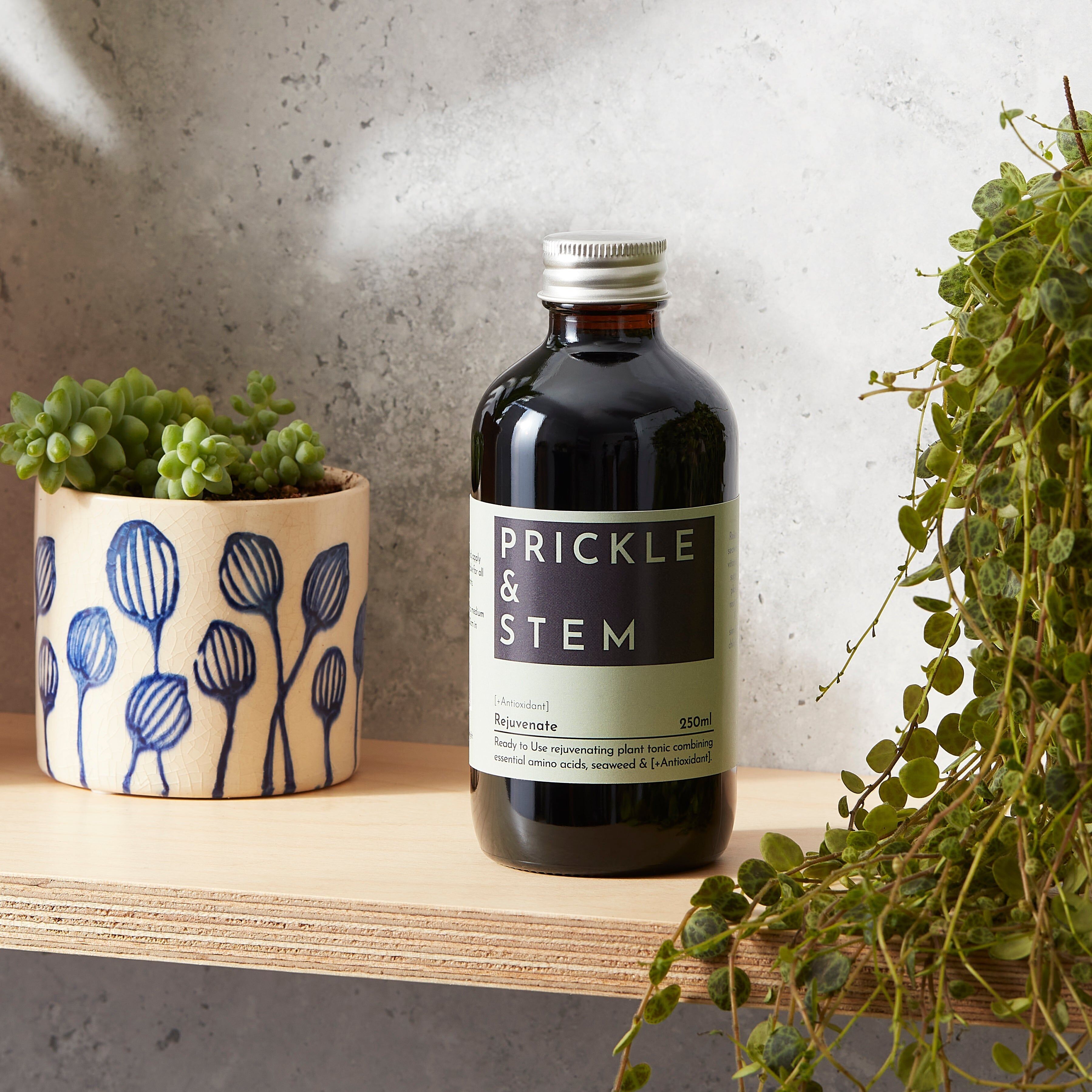 Tónico vegetal rejuvenecedor listo para usar [+antioxidante]