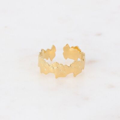 Goldener Jaden-Ring - Ginkos