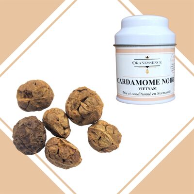 Black Cardamom