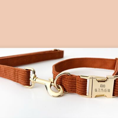 Corduroy Dog Leash Clay
