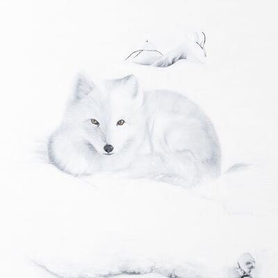 Arcticfox