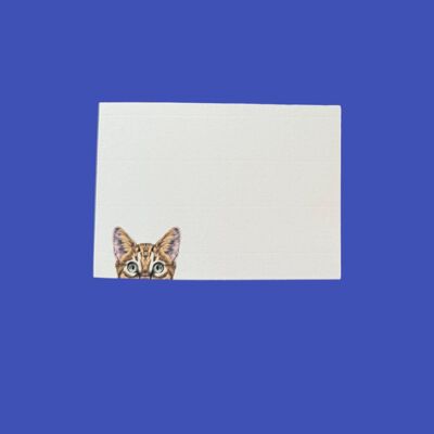 Cat Peek Notecard Set with Laid Envelopes