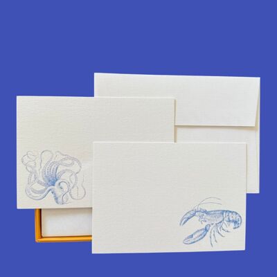 Ensemble de cartes de notes Kraken et Pinch