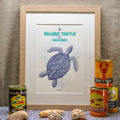Großes karibisches Schildkrötenposter, A4, Meer, Sommer, Fisch, Vintage, blau, türkis