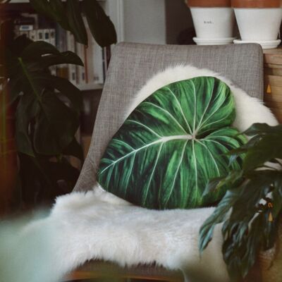 Philodendron Gloriosum Blatt- und Pflanzenkissen