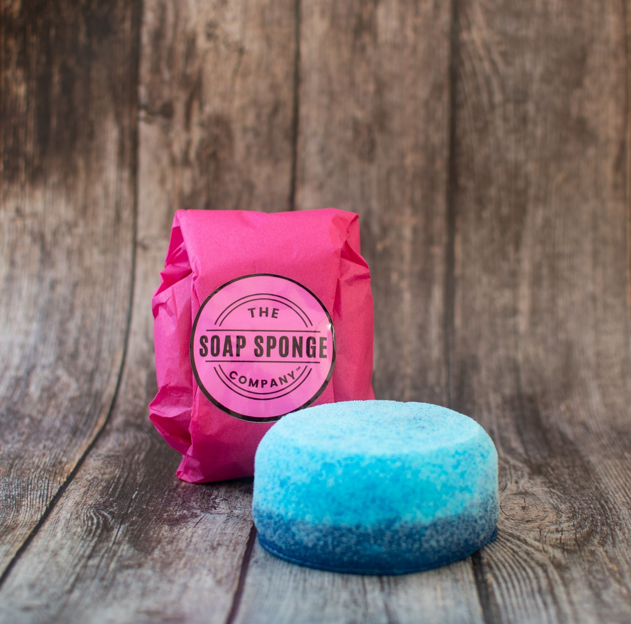 Splendidly Soapy Sponge Paco Rabanne Invictus inspired (Mens)