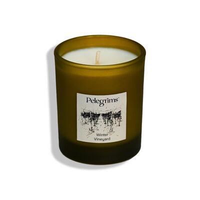 Candela Vigneto Invernale