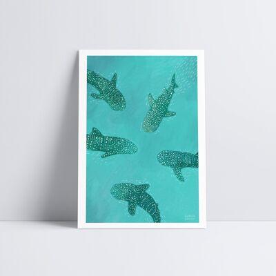 Whale Sharks Art Print1
