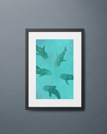 Requins baleines Art Print1 3
