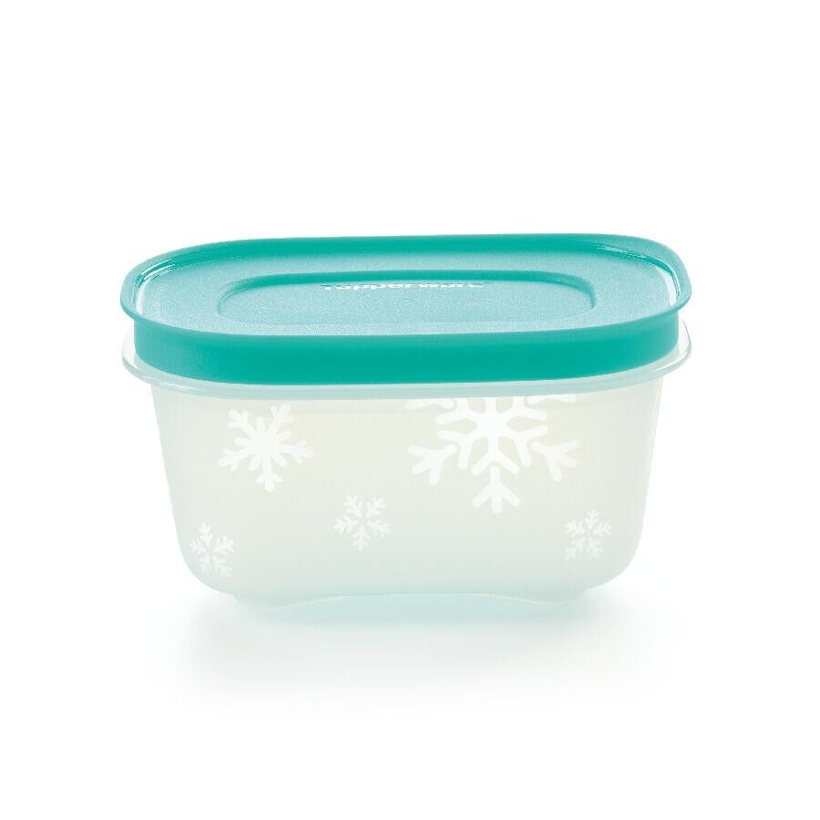 2 Boîtes Igloo 170 ml