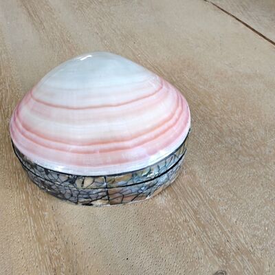 Jewelry box - shell box - box pink - shells - decoration - shell - shells - jewelry box