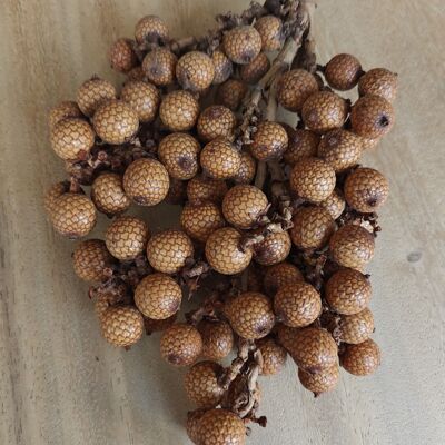 Frutta decorativa - Rattan Fruit 500 Grammi - decorazione naturale - bouquet secchi - composizione da tavolo