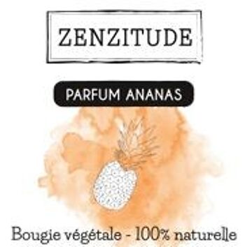 Bougie naturelle ananas 70g 3