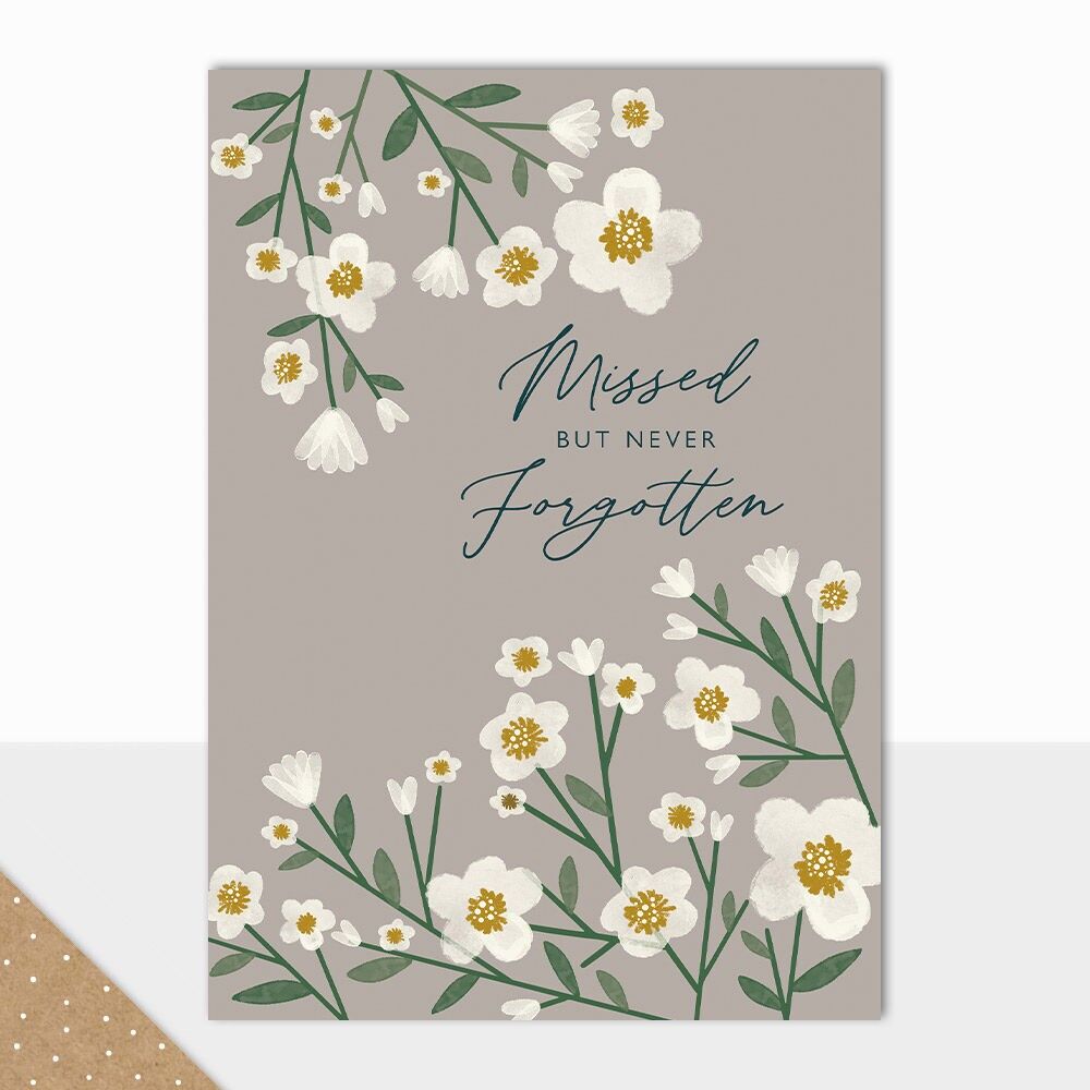 Colección Edén: Extrañados pero nunca olvidados