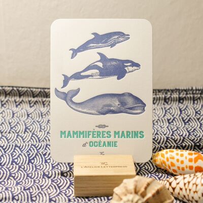 Letterpress Marine Mammals of Oceania card, sea, summer, vintage, very thick paper, relief, blue, turquoise