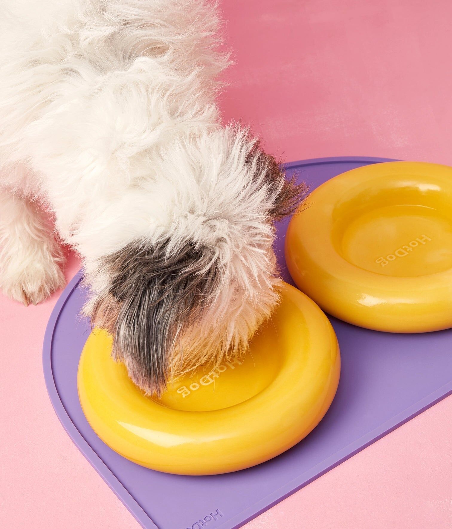 Comedero cerámico amarillo para perros