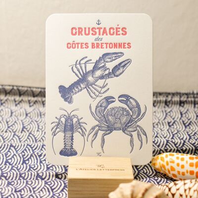 Carte Letterpress Crustacés des Côtes Bretonnes, mer, été, Bretagne, vintage, papier très épais, relief, poisson, bleu, rouge