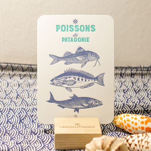 Carte Letterpress Poissons de Patagonie, mer, été, vintage, papier très épais, relief, bleu, turquoise