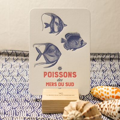 Carte Letterpress Poissons des Mers du Sud, été, vintage, papier très épais, relief, bleu, rouge, ancre