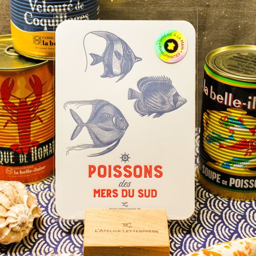 Carte Letterpress Poissons des Mers du Sud, été, vintage, papier très épais, relief, bleu, rouge, ancre