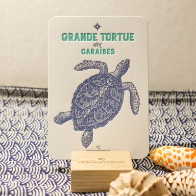 Große karibische Schildkröten-Buchdruckkarte, Meer, Sommer, Fisch, Vintage, sehr dickes Papier, Relief, blau, türkis
