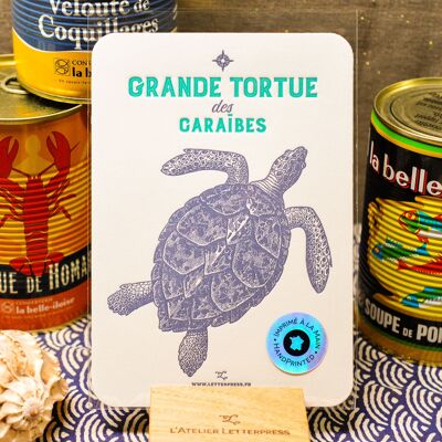 Tarjeta de tipografía de tortuga caribeña grande, mar, verano, pescado, vintage, papel muy grueso, relieve, azul, turquesa