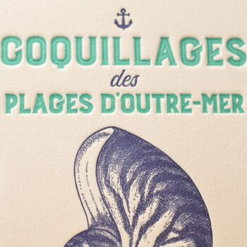 Carte Letterpress Coquillages des Plages d'Outre-Mer, mer, été, été, poisson, vintage, papier très épais, relief, bleu, turquoise 2