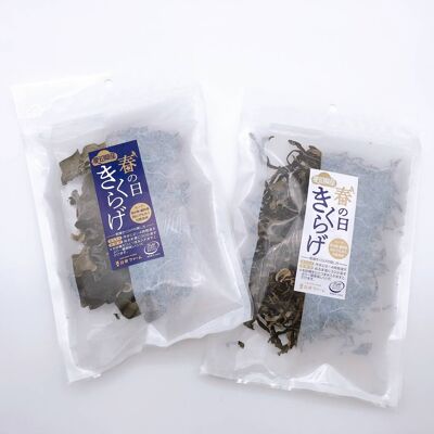 Champignons Oreille de Judas Kasugai – Cultivés biologiquement au Japon