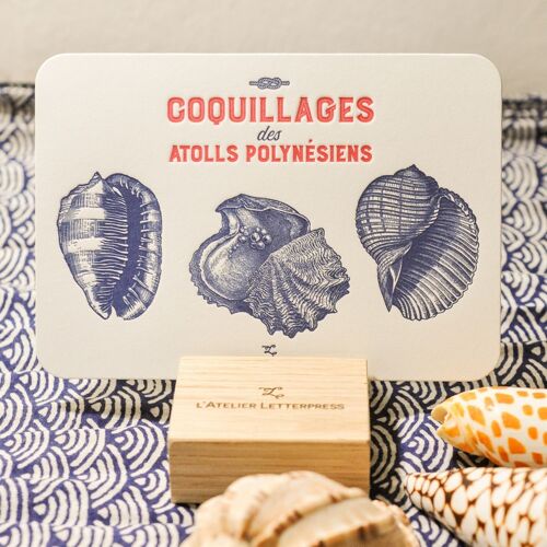 Carte Letterpress Coquillages des Atolls Polynésiens, mer, été, vintage, poisson, papier très épais, relief, bleu, rouge