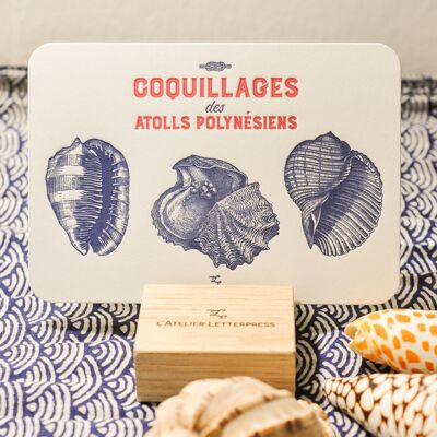 Letterpress card Shells of the Polynesian Atolls, sea, summer, vintage, fish, very thick paper, relief, blue, red