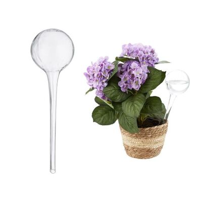Ensemble de 2 boules d'arrosage en verre WOODENFURN