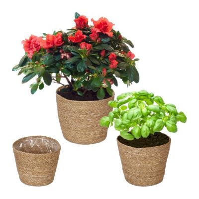 WOODENFURN Set di 3 vasi per fiori in erba marina