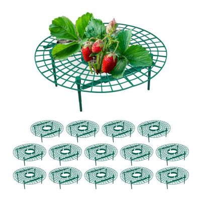 Ensemble de 15 fraises à mûrir WOODENFURN