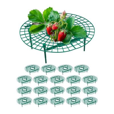 Lot de 20 mûrisseurs de fraises WOODENFURN