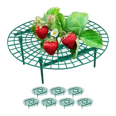 WOODENFURN strawberry ripe set of 8