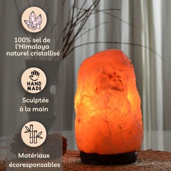 Lampe en Cristal de Sel d'Himalaya - de 2 à 3 kg - Matière Naturelle - Idée Cadeau et Décoration 1