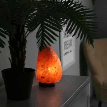 Lampe en Cristal de Sel d'Himalaya - de 2 à 3 kg - Matière Naturelle - Idée Cadeau et Décoration 4