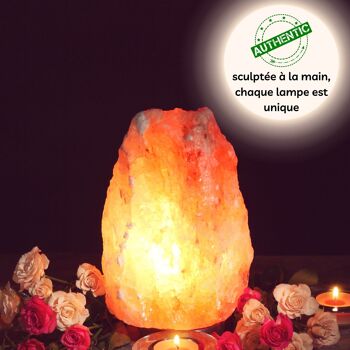 Lampe en Cristal de Sel d'Himalaya - de 2 à 3 kg - Matière Naturelle - Idée Cadeau et Décoration 2
